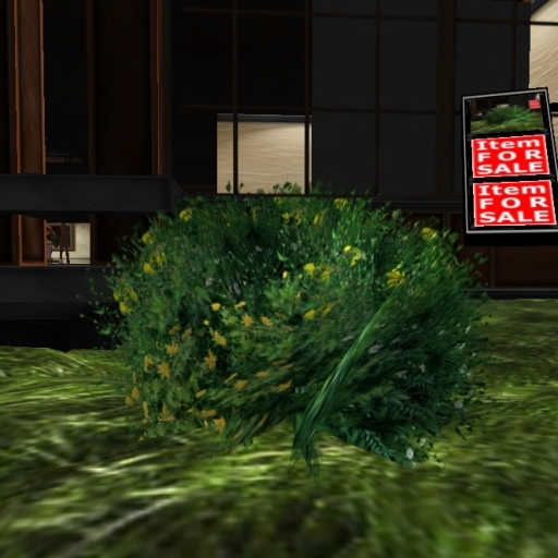 Bushes 16