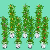 Hibiscus w/8 Flower, 3 Pot Colors, Menu Driven, 2 Li