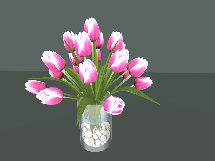 GLASS VASE w TULIPS 4 &RESIZER c