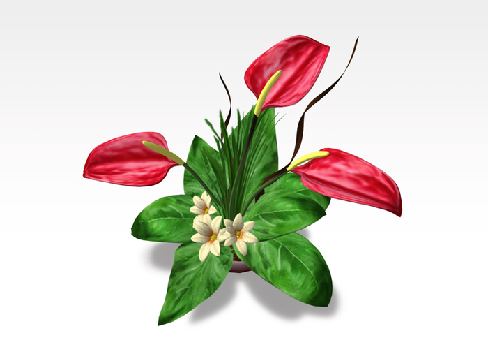 Interior Flowers - Anthurium basket V.01 c/m