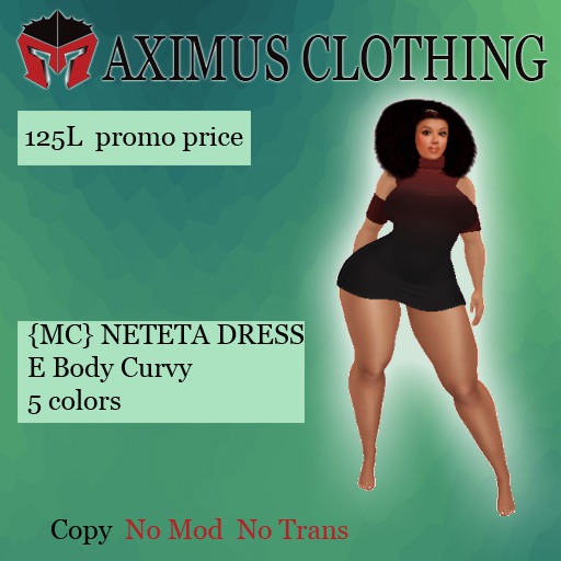 {MC} NETETA DRESS  