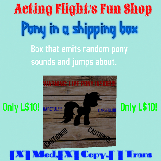 Acting flight's fun shop Pony in a shipping box