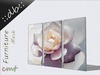 Whtrose kopie