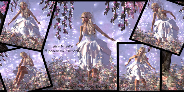 SSP - Fairy Nights
