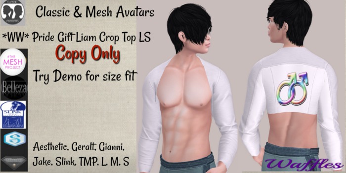 *WW* Pride Gift Liam Crop Top LS