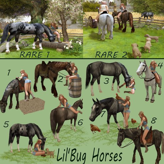 Lil'Bug Horses 4