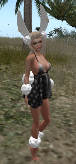 E. Snow Bunny (Snow) RARE
