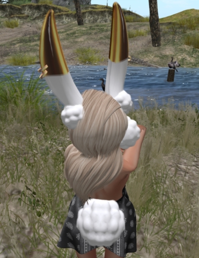 E. Snow Bunny (Snow, Gold Frame) RARE