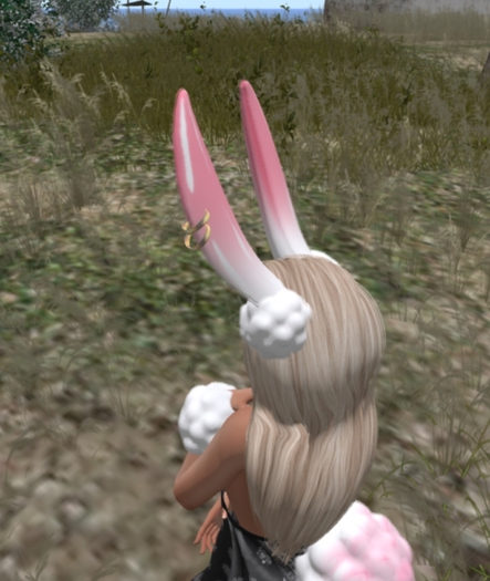 E. Snow Bunny (Pinku) RARE