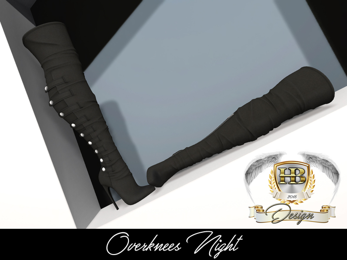 [HB] Overknees {Night}