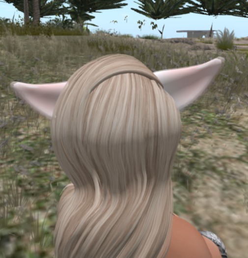 E. Contract Ears PINKU RARE