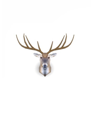 LivingRoom Deer