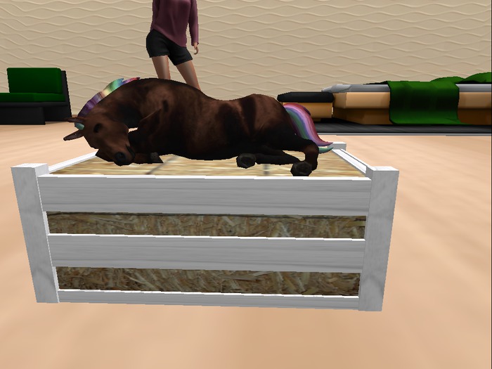 oYo Bundle - Female Brown Walker