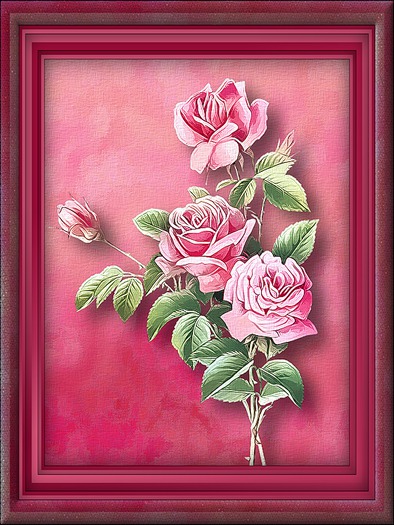 Artistry by Alex - Pink Roses