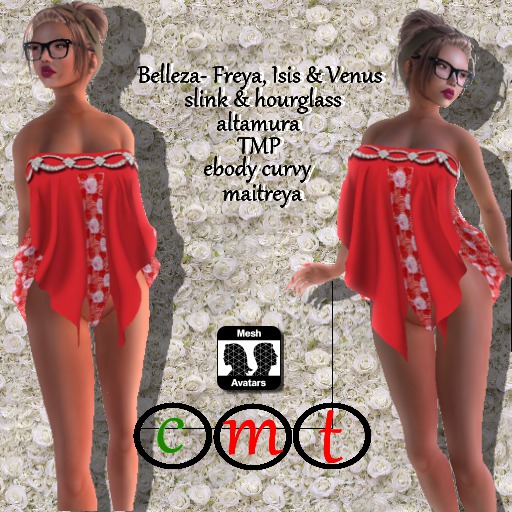 Ananya Mesh Dress red rose