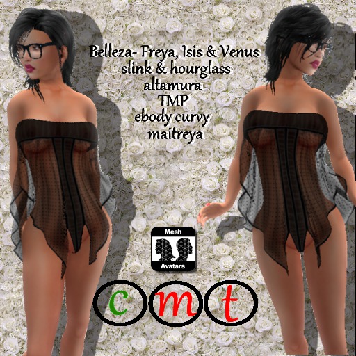 Ananya Mesh Dress sheer black