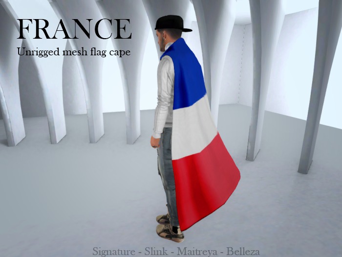 FRANCE Mesh drapeau calque