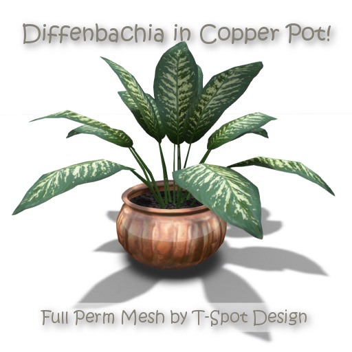T-Spot Mesh - Diffenbachia in Copper Pot - Full Perm - LI=1.0