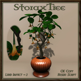 Potted Trumpet Plant A5