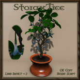 Potted Trumpet Plant C1