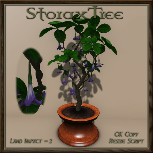 Potted Trumpet Plant C2