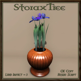Potted Iris A