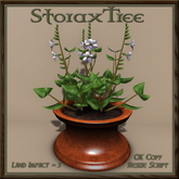 Potted Creeping Foxglove C