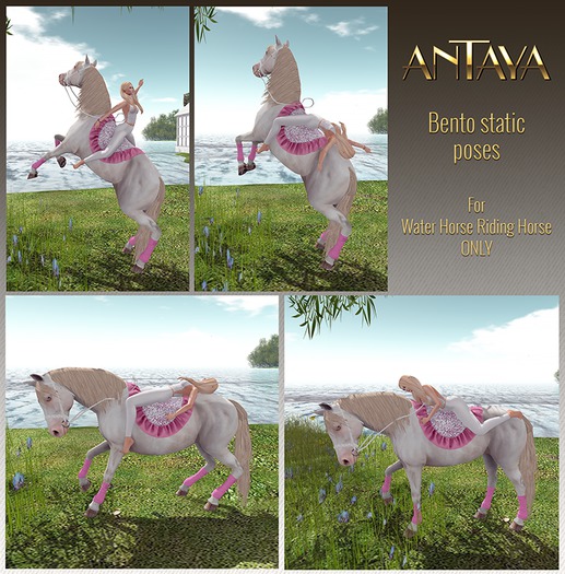 :: ANTAYA :: WHRH Bento static hores poses set 01 ADD ME