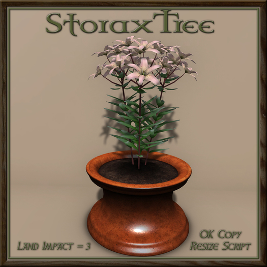 Potted Lilies C