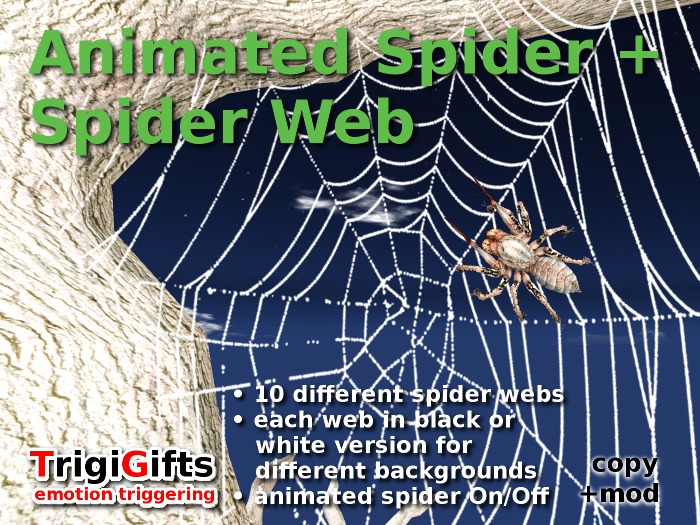 Spiderweb
