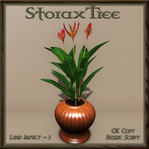 Potted Parrot Plant A
