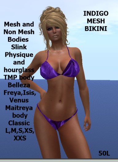 Indigo Bikini