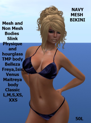 Navy Bikini