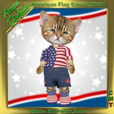 Peeps Dinkies American Flag Casual Outfit