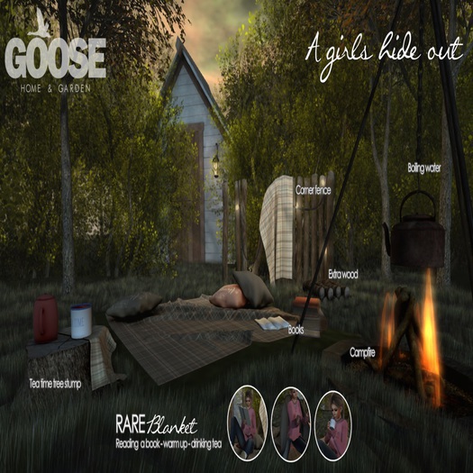 GOOSE - A girls hide out - tea time tree stump