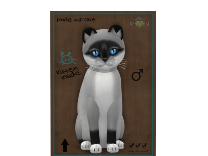 KittyCatS Box - 9 T - Foxie - Salt & Pepper Mask