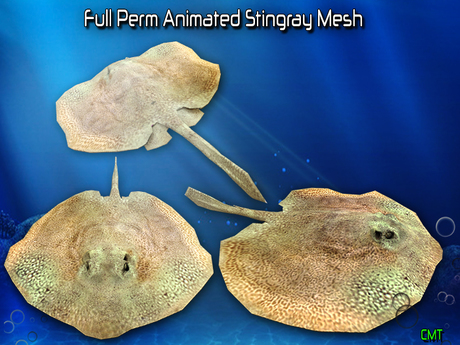 Second Life Marketplace Full Perm Amazing Animated Stingray High Quality Mesh