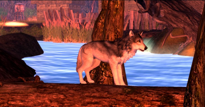 Lone Wolf Black Picture frame