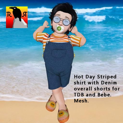 RR Hot Day Stripped Overalls