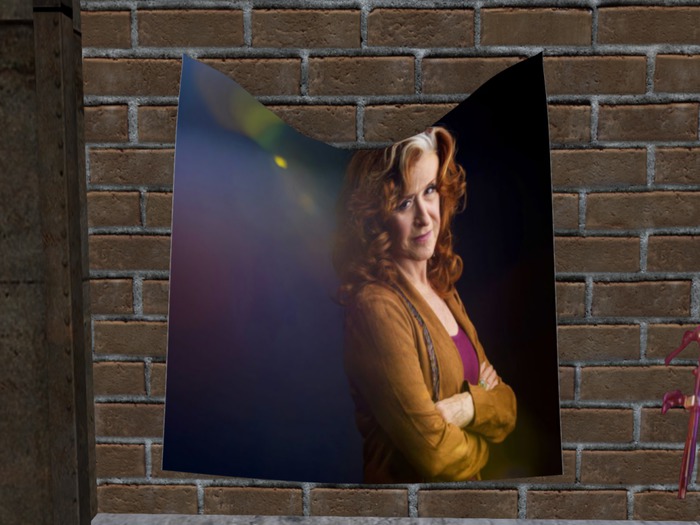 Bonnie Raitt 2