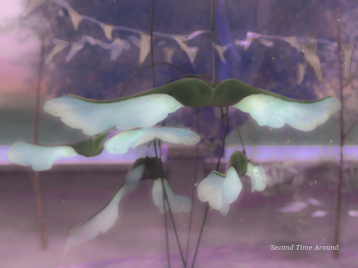 18){anc} forget. wing leaf [purple] 1