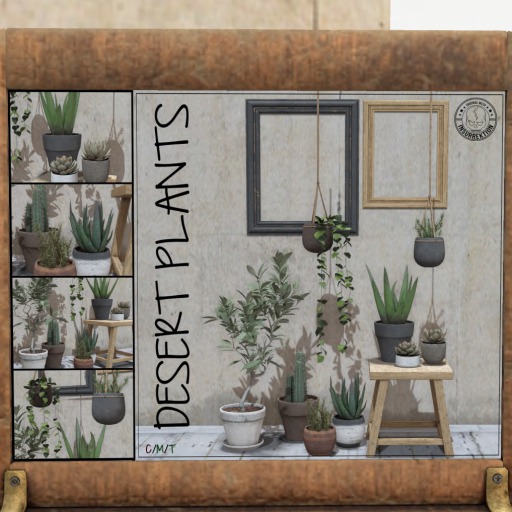 [IK] Desert Plants - 08. Table - COMMON (boxed)