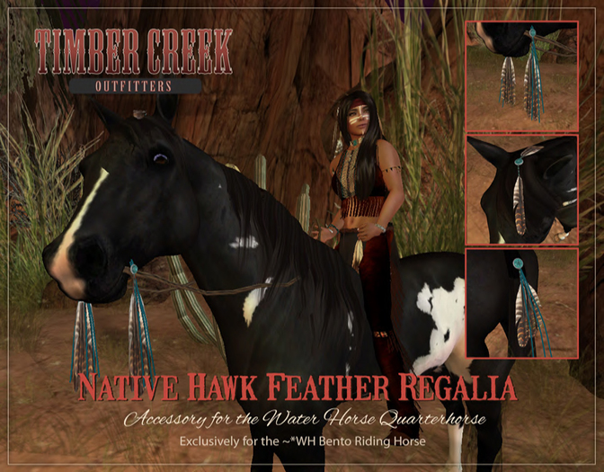 [Timber Creek] Native Hawk Feather Regalia for WH Ridable