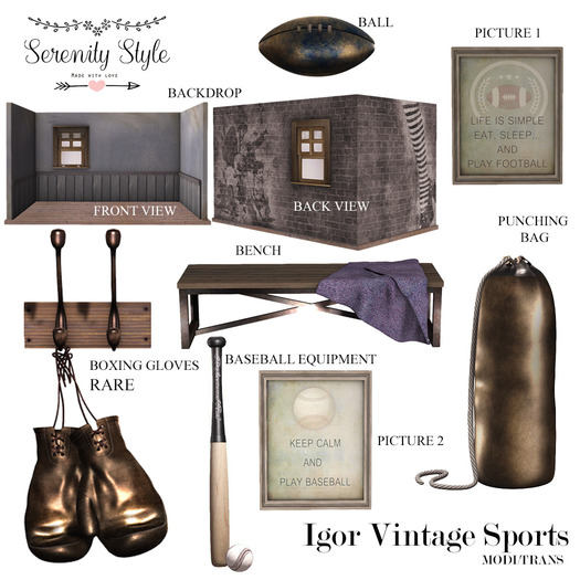 Serenity Style- Igor Vintage Sports Boxing Gloves RARE