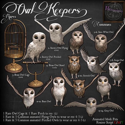 8. *HEXtraordinary* Scops Owl Flying 1