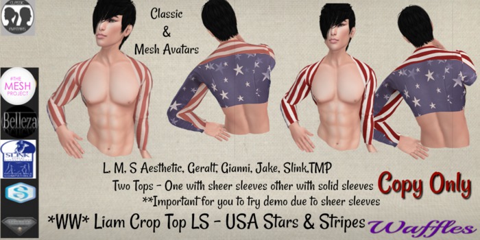 *WW* Liam Crop Top LS - USA Stars & Stripes