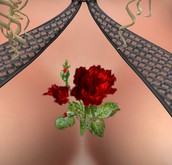 .:GBH:. Rose chest tattoo maitreya