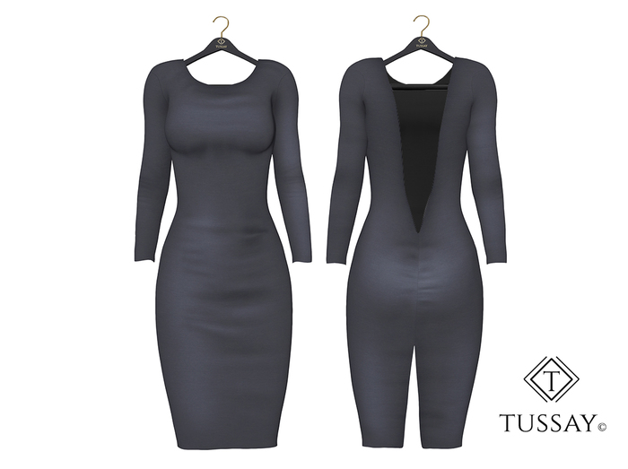 TUSSAY Ashra Dress - Dash