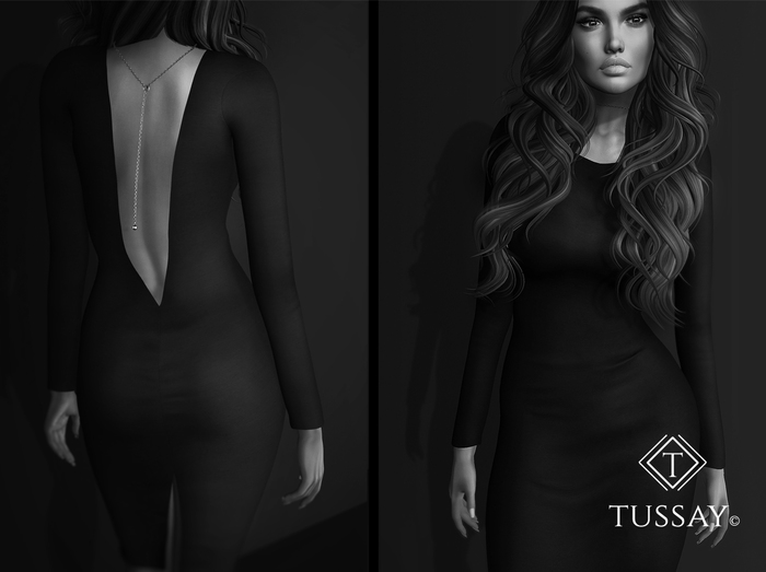 TUSSAY Ashra Dress - DEMO