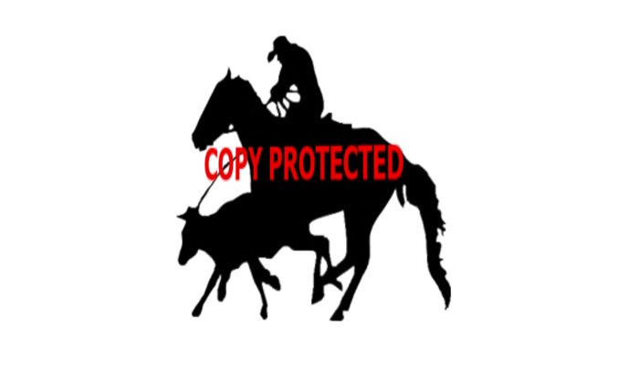 Male Roper Silhouette